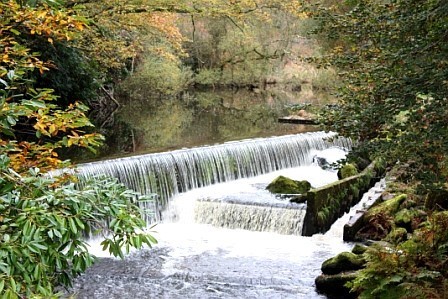La Rivière l'Isole à Cascadec La Rivière l'Isole