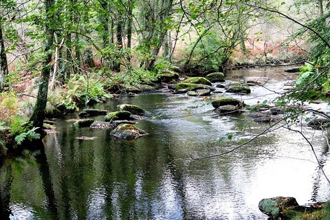 La Rivière l'Isole La Rivière l'Isole
